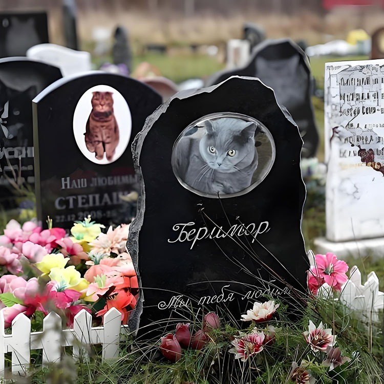 Hvilke tilpasningsalternativer løfter PET Memorial Plaques utover grunnleggende navn?